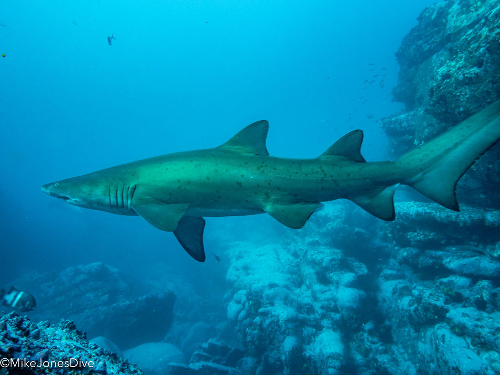 9769cb2a-a760-4e1c-8812-a0cb0c6856e4