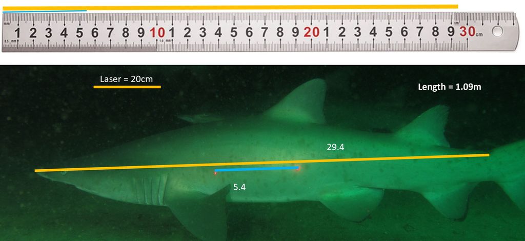 87e14e72-25ef-4da7-bf08-a8902e2e5dc1