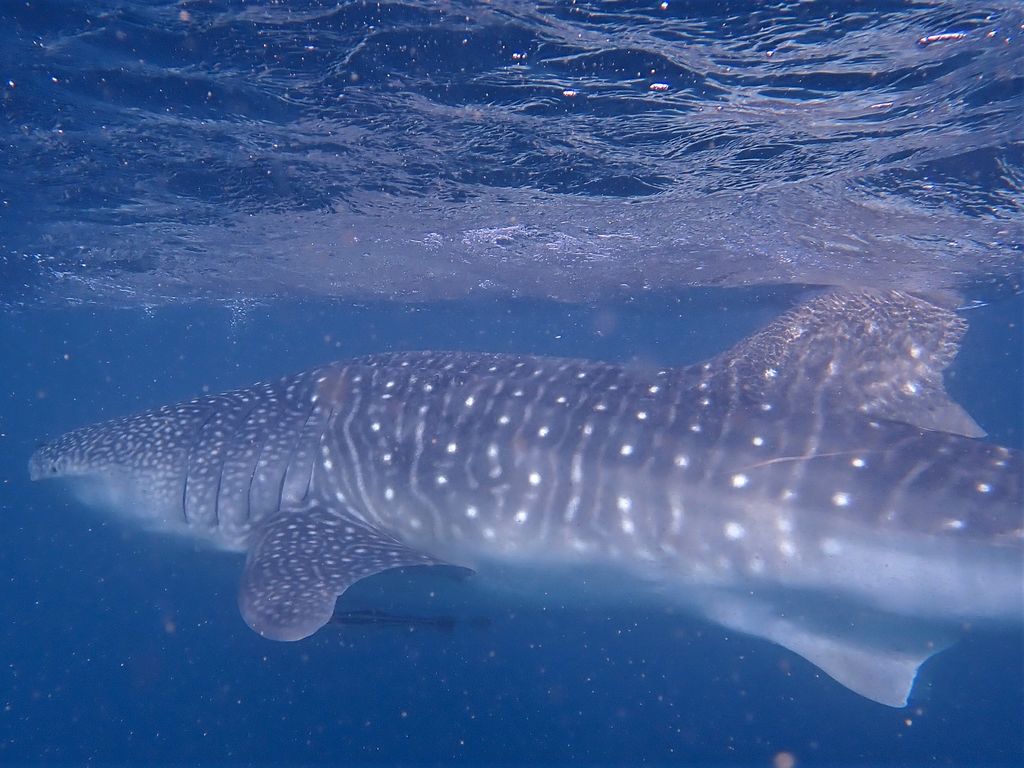 0796e396-71d6-4a1f-893a-e3db2e806be4