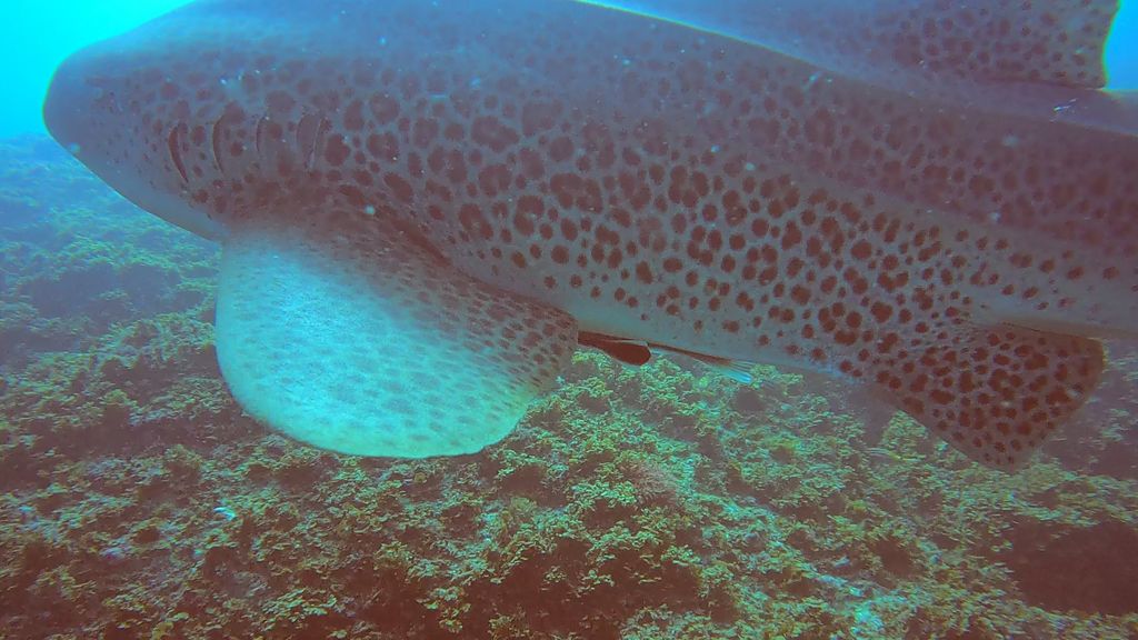 afbe0f0b-5989-4e1c-afa7-4199206f28fa