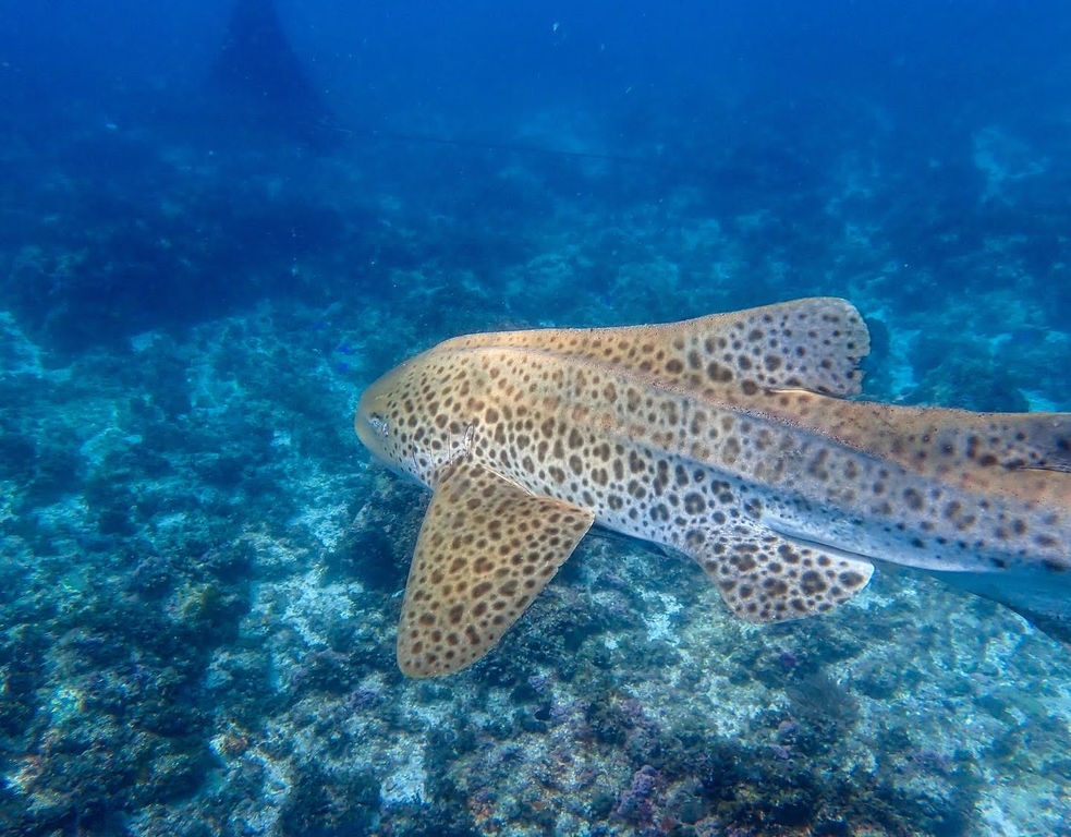 4874ecae-e565-411b-94e6-d91fab074b0f