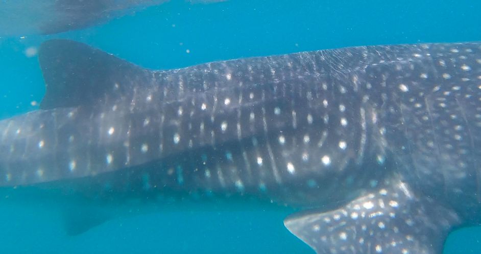 6294a811-f949-4d51-92a6-20cd55e8d5fe