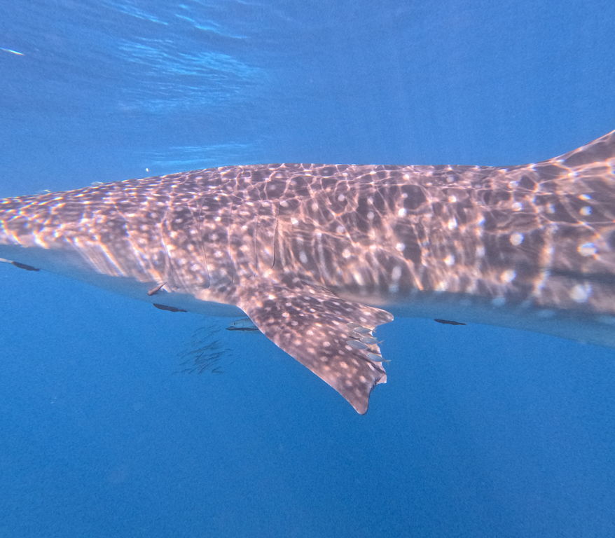 046bd8a4-6a1b-459b-a2d1-c6655bd9365c