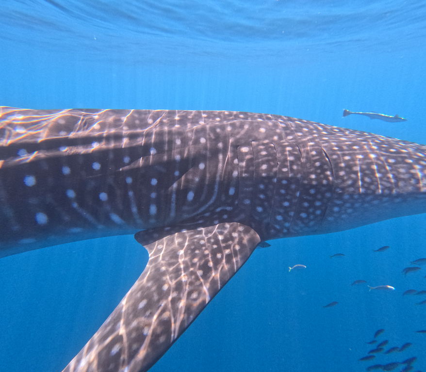 046bd8a4-6a1b-459b-a2d1-c6655bd9365c