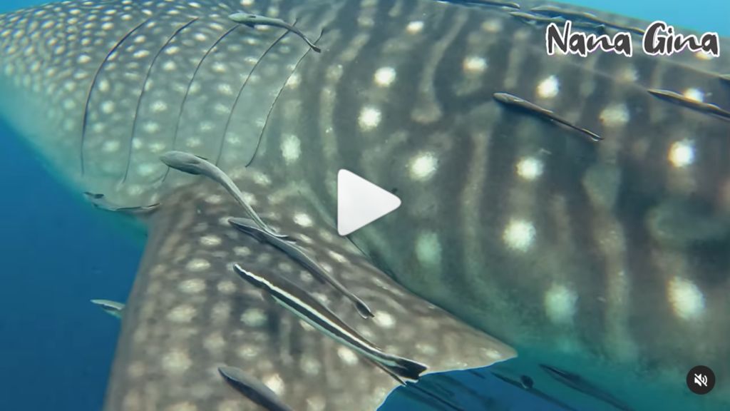 9473f87b-4d23-4177-abd3-105bf65e2f84