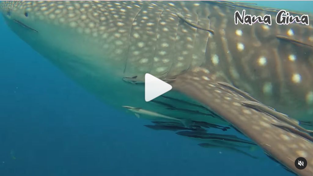 9473f87b-4d23-4177-abd3-105bf65e2f84