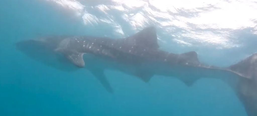 042292af-6212-49d5-91e5-582c082f6e7f