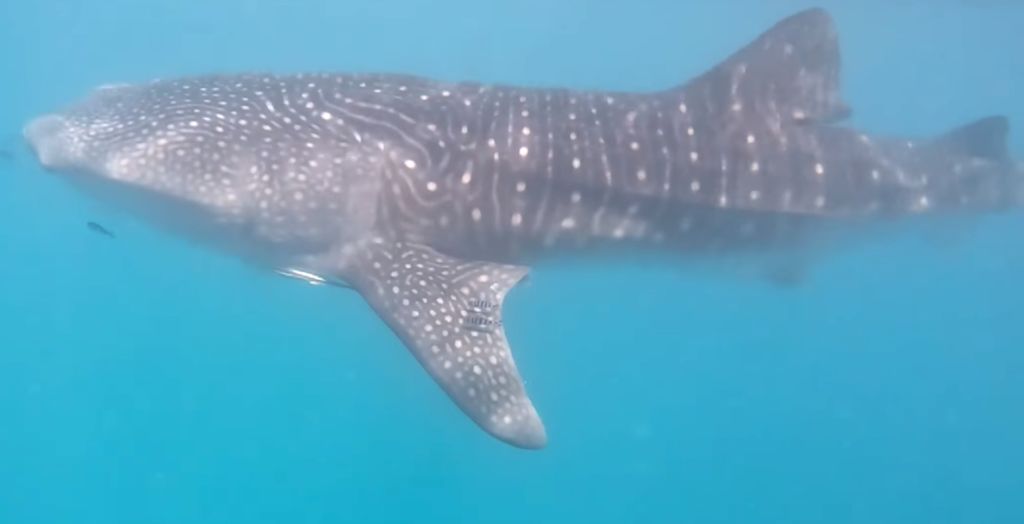 042292af-6212-49d5-91e5-582c082f6e7f