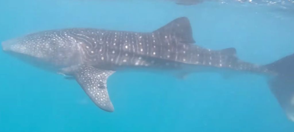 042292af-6212-49d5-91e5-582c082f6e7f