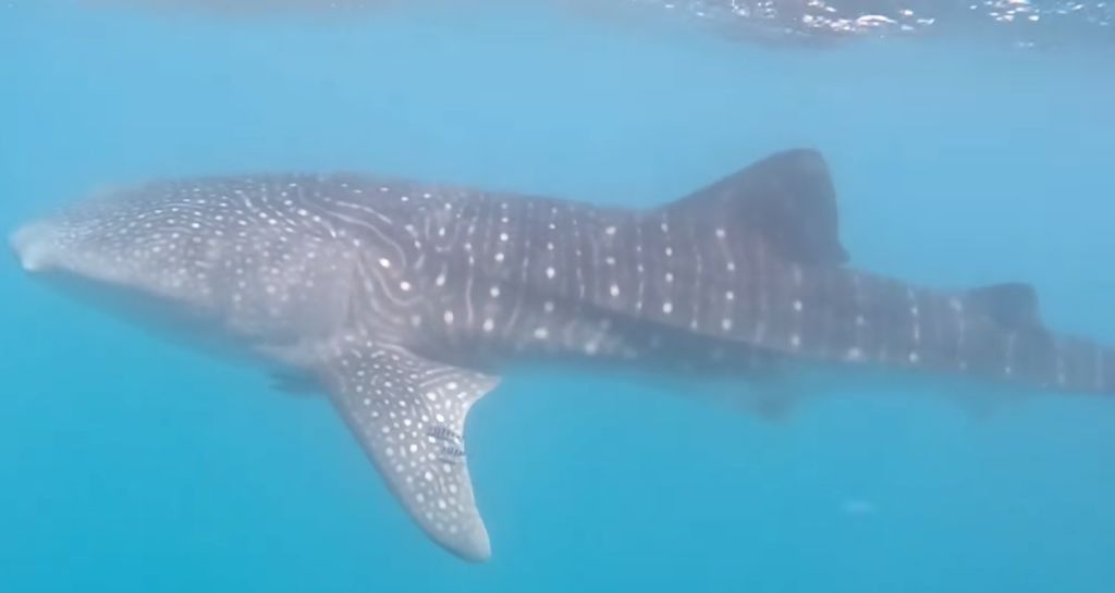 042292af-6212-49d5-91e5-582c082f6e7f