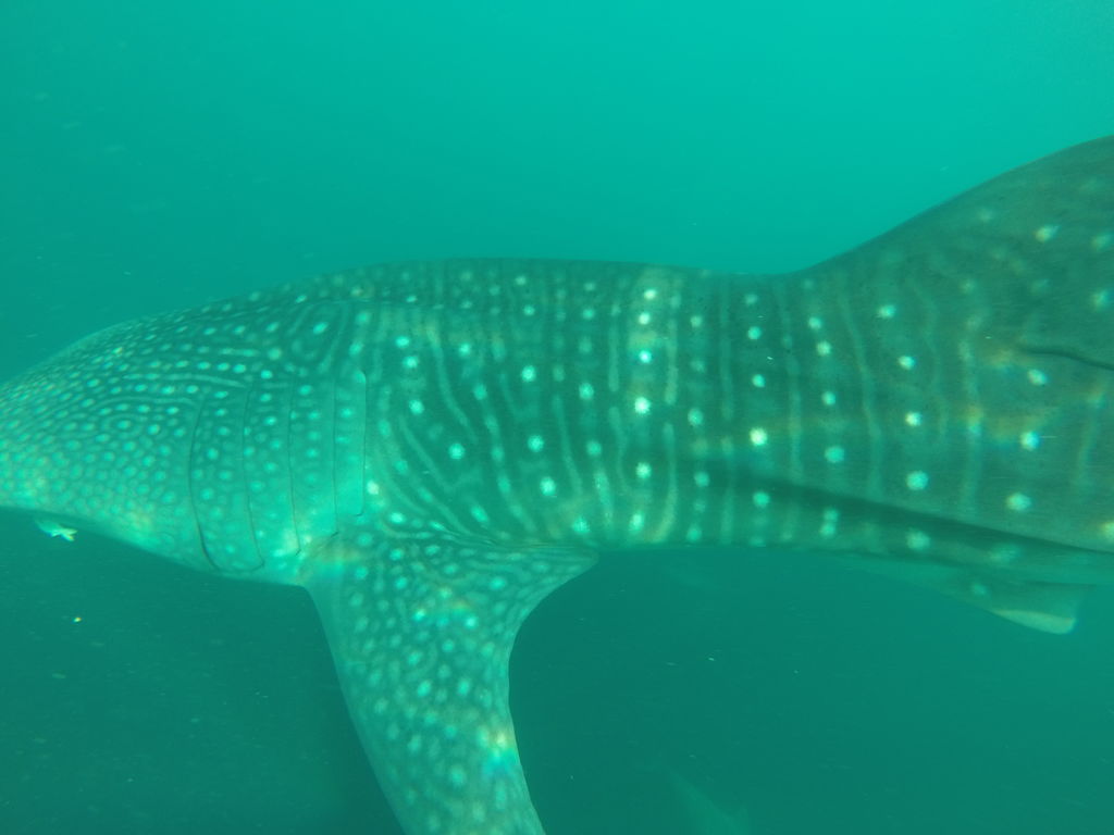 7cd9d171-e124-4899-9f23-9eb25fe63591