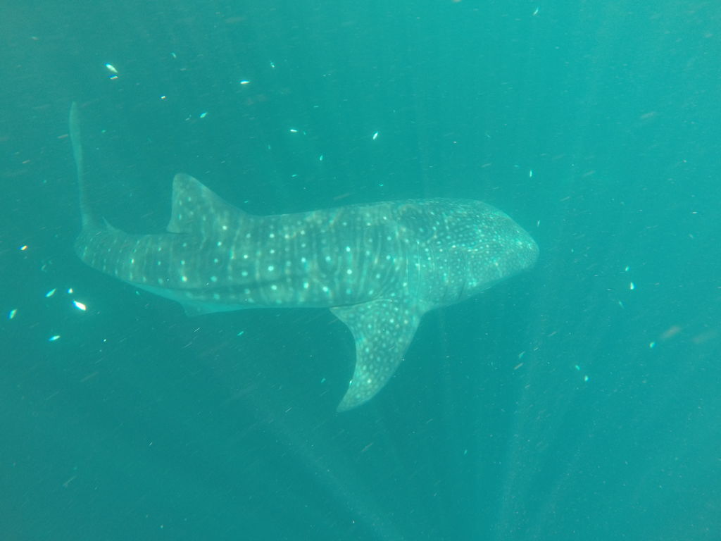 7cd9d171-e124-4899-9f23-9eb25fe63591