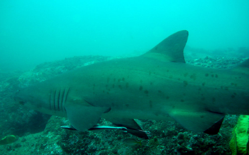 4ac5443b-6fdd-4f0d-9616-f755bc6d6744