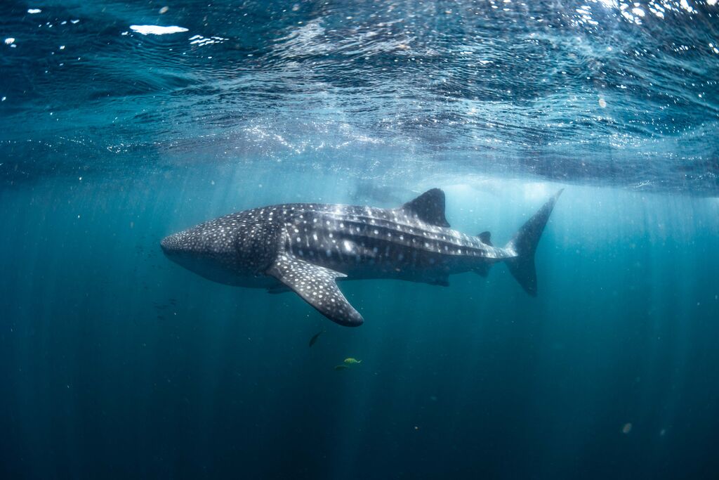 1ef8c6a7-b2d0-4ba0-a525-b137c9589748