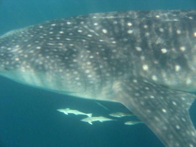 2f003d71-68fd-4df6-8fa9-37c9d7aed137