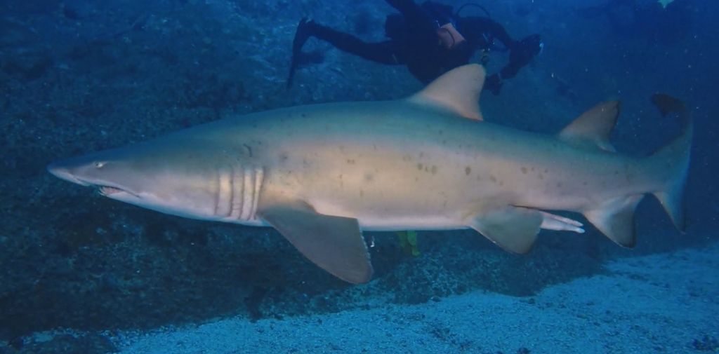 b0f108a2-2386-4542-a925-cfa74af26be7