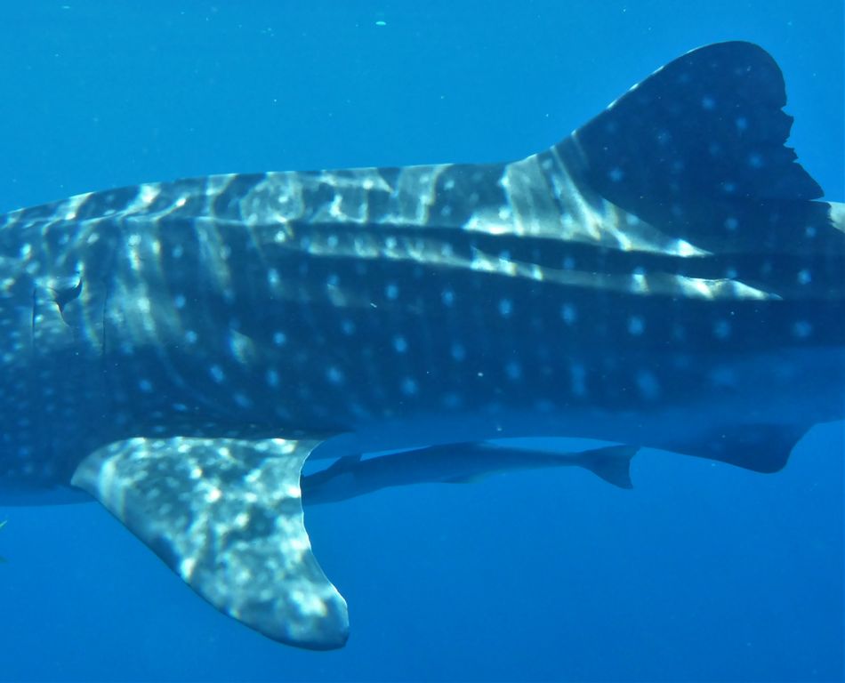 1fc7b024-d3b2-4ab3-9bdc-65354c8a06a7