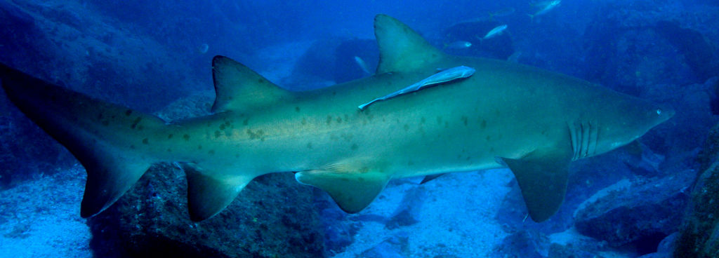 3080a780-6e2f-4072-88e7-64e8890f7630