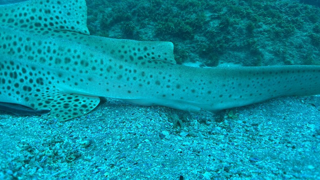 acd03c52-988d-4da4-a4f7-96db95a27af6