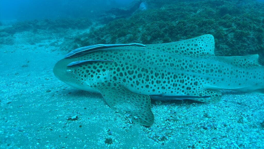 acd03c52-988d-4da4-a4f7-96db95a27af6