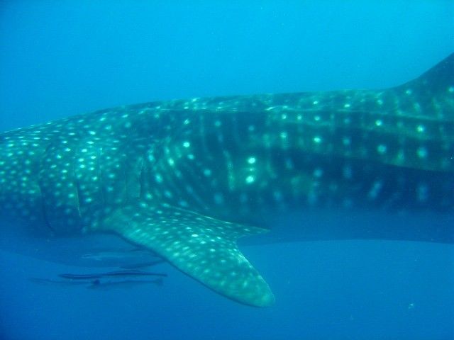 a8015472-2767-4e2b-a499-9c27e1e3b68e