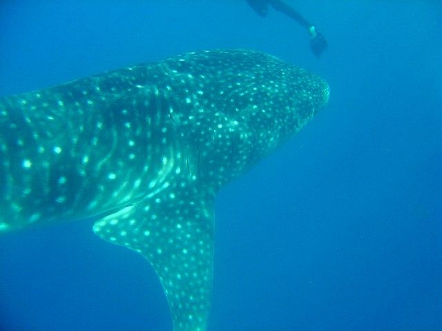 a8015472-2767-4e2b-a499-9c27e1e3b68e