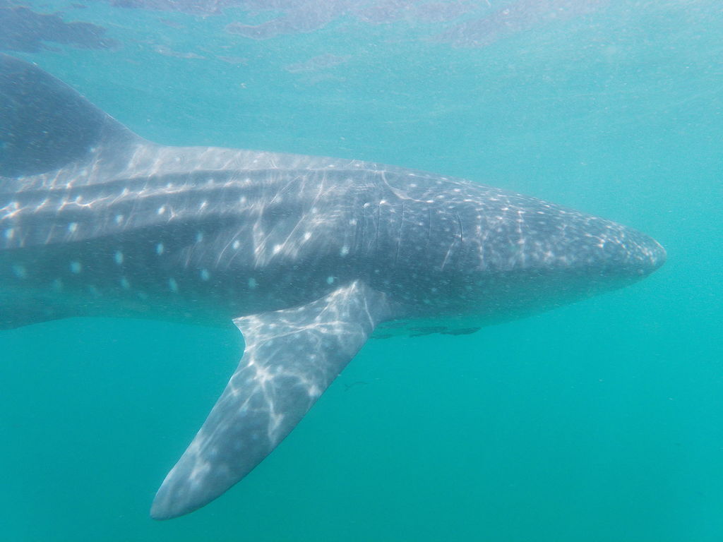 1f4cfbb5-62c0-49ea-9e96-147ff38429be