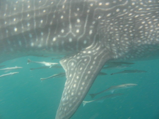 5e4ae340-6389-460f-95e8-0dac176d4293