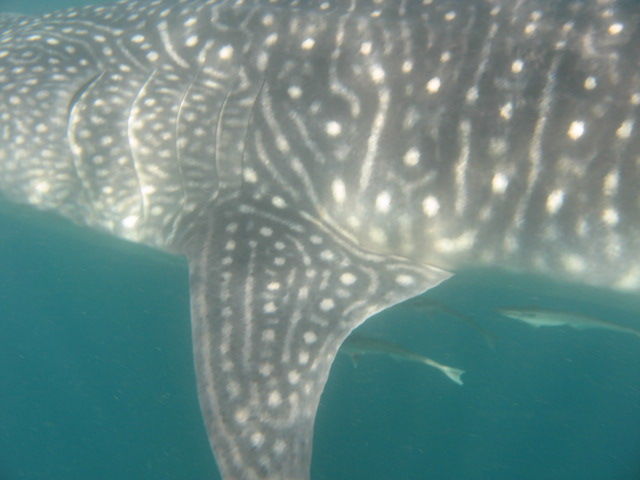 5e4ae340-6389-460f-95e8-0dac176d4293