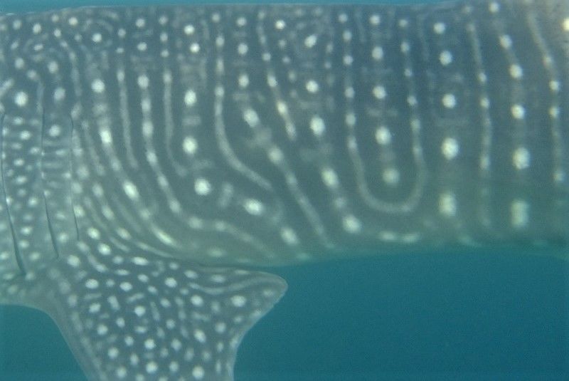 6bf69d31-82fb-484d-b5c9-6b45c6b61988