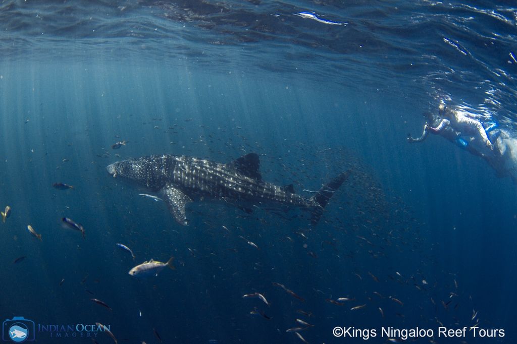 00ddb977-e87c-4c6c-abc3-be228b2bd7e9