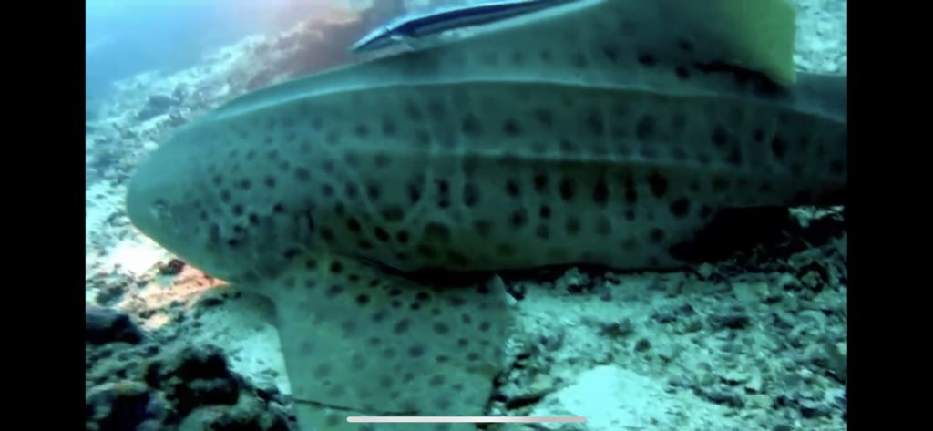 b69c74ab-18a7-4854-87bd-c00ecdbf55b3