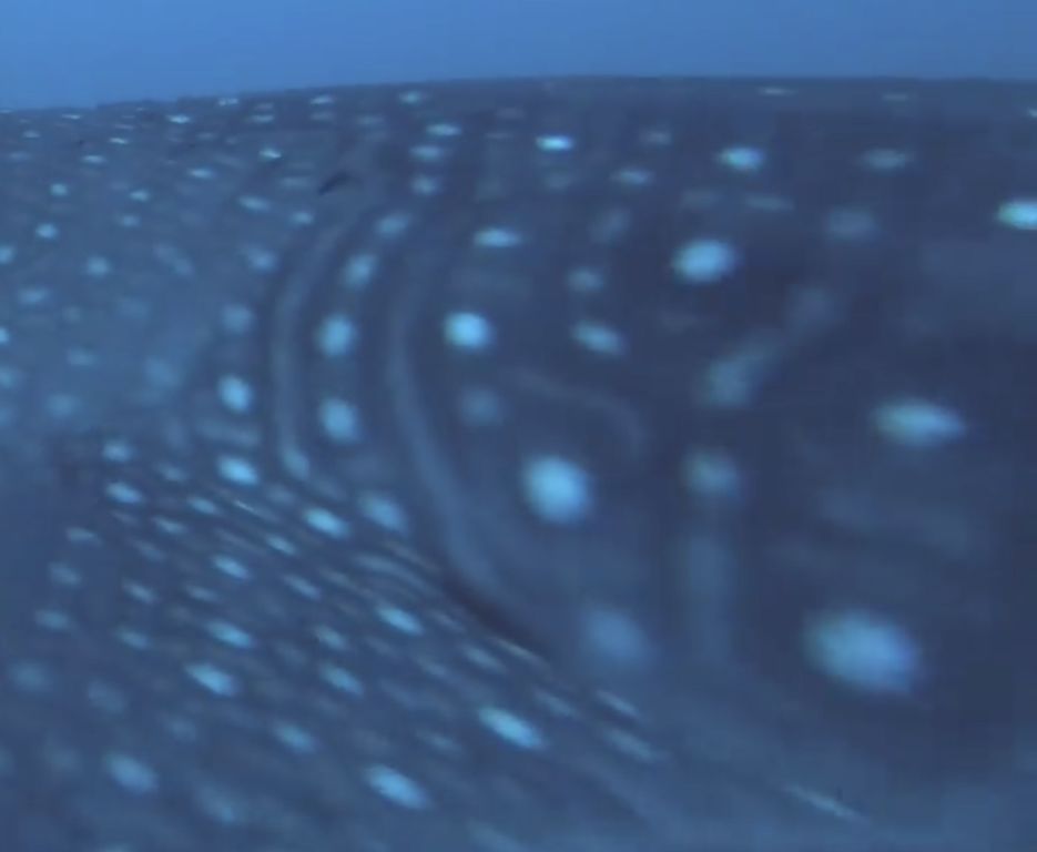 1ef445ce-b623-40b8-bdff-22ad9b44bea0