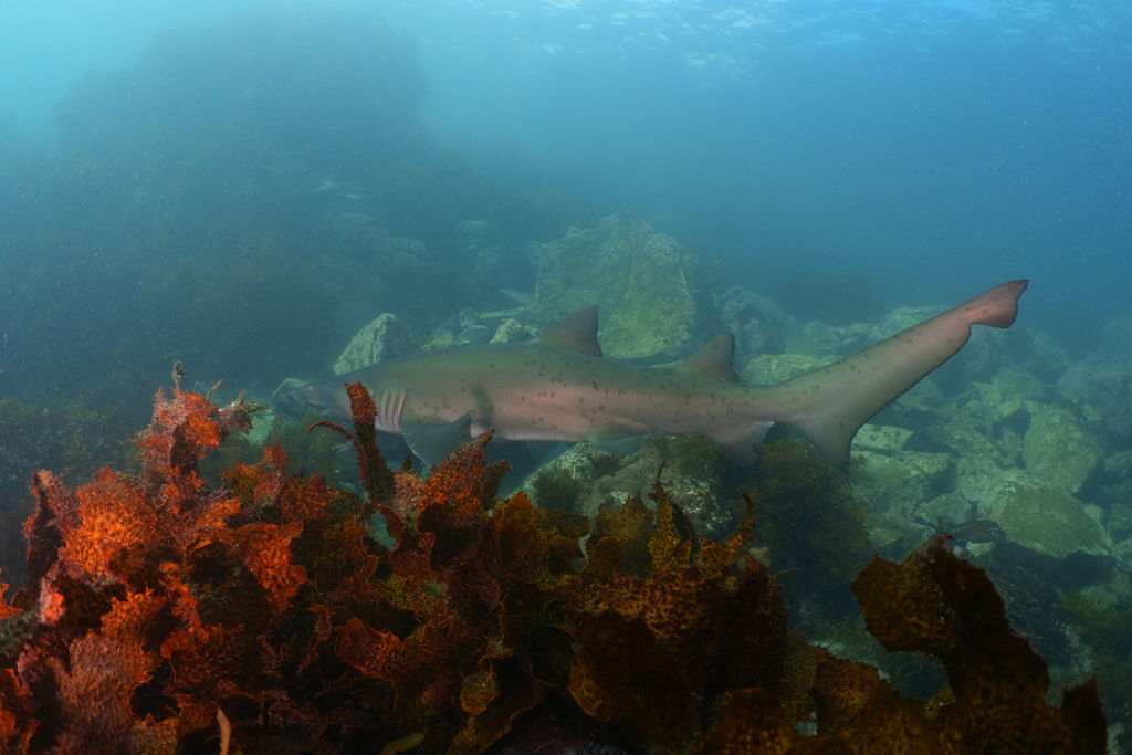 6e749683-da72-4e76-a184-2f290575a9a0