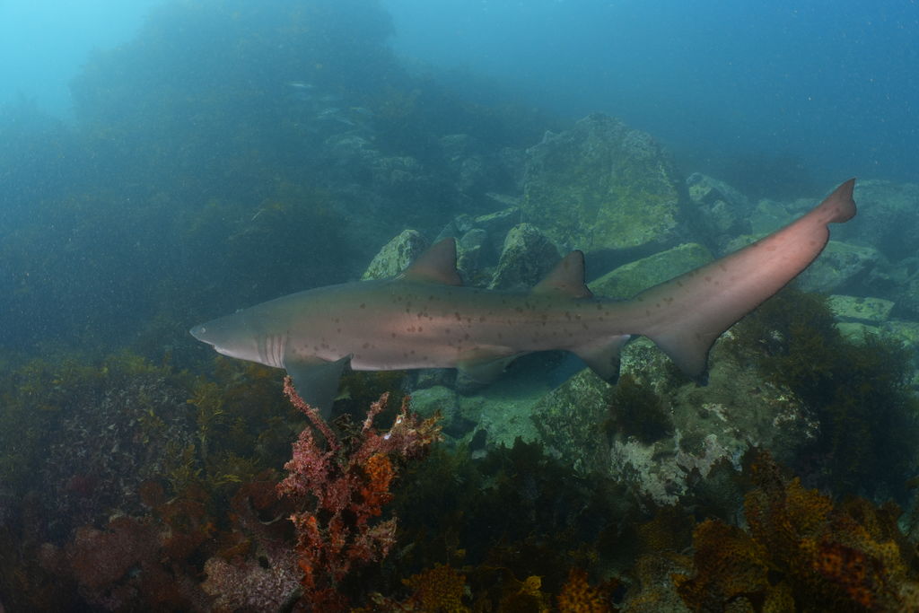 6e749683-da72-4e76-a184-2f290575a9a0