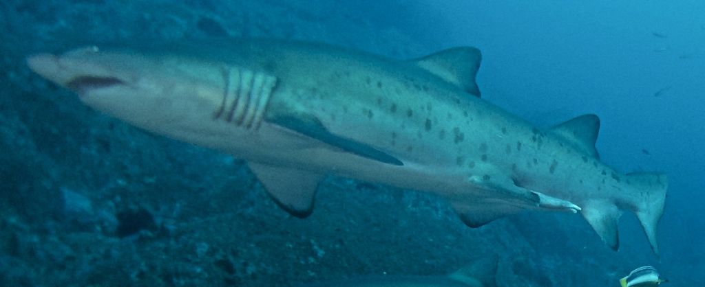 a0c923fd-14ec-4069-ae9a-83a55ba7d122