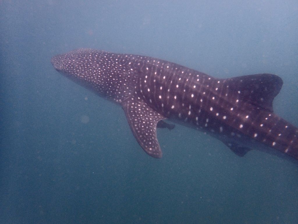 b874bd71-3f21-4553-8f8e-b6d76f61f483