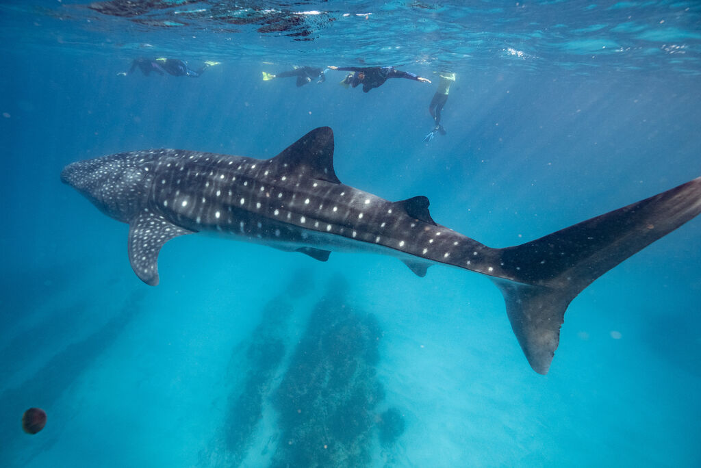 be2c1286-ec0a-4893-a52a-7d64e3d871d4