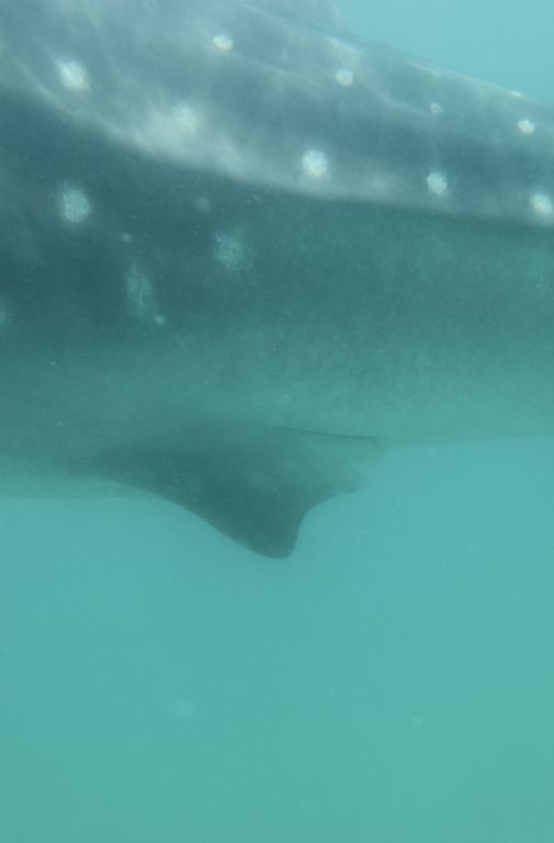 5242b041-eb84-4489-860a-a167d4930561