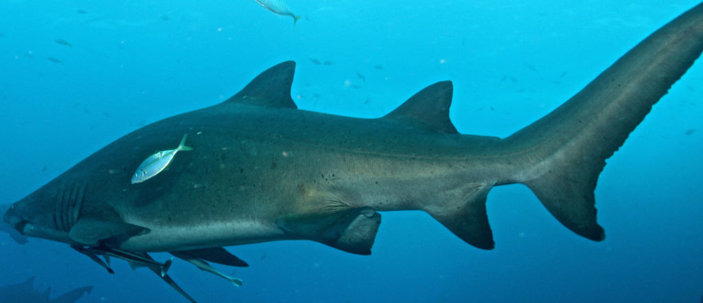 1a4f63b9-cf67-40a9-b413-6df1aebd7b8e