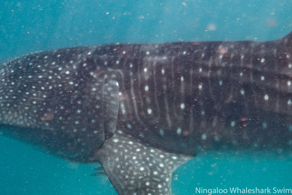 c3338fb4-a34f-4861-b2b8-26553415bd53