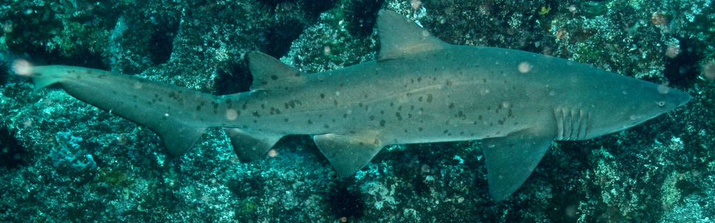 3d20ea99-4577-4480-8394-0c6fe2ba0714