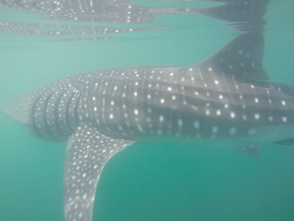 289b6552-937d-4200-b486-caf2f72c91e4