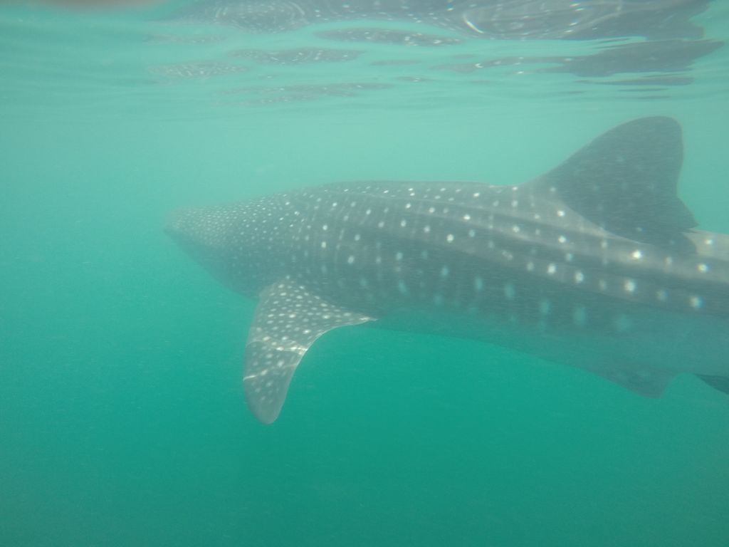 289b6552-937d-4200-b486-caf2f72c91e4