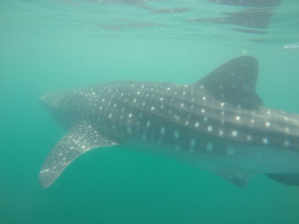 289b6552-937d-4200-b486-caf2f72c91e4