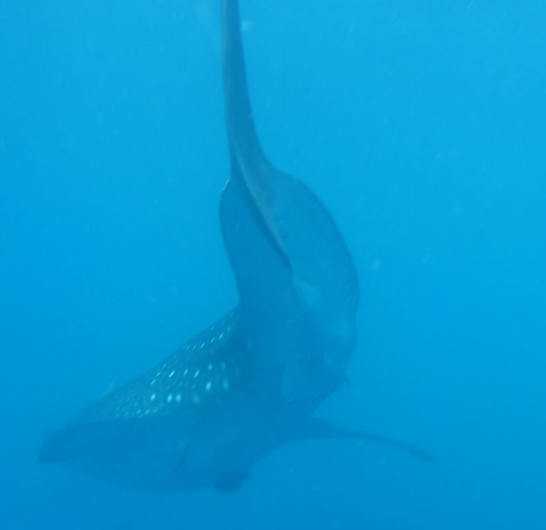 96f63e13-a45f-4746-849e-55beb88fcc6c