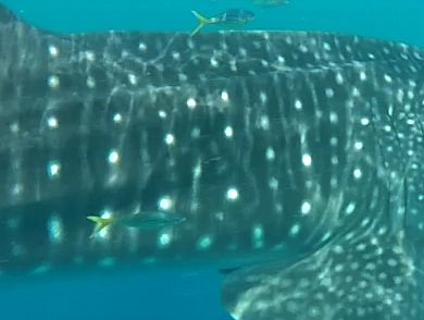 96f63e13-a45f-4746-849e-55beb88fcc6c