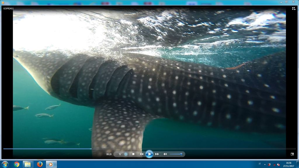 621d270a-8485-43e5-ad34-8c845ff195e3