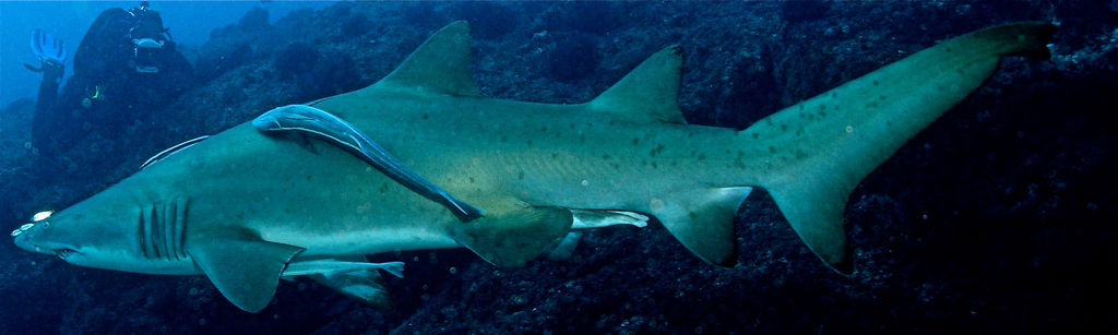 72cf8bbb-2cac-4fa4-a14d-103cd0feea38