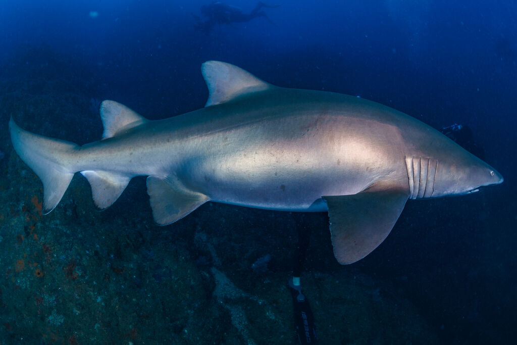 f7f04bb8-f635-4b22-b124-7df19654ddd7